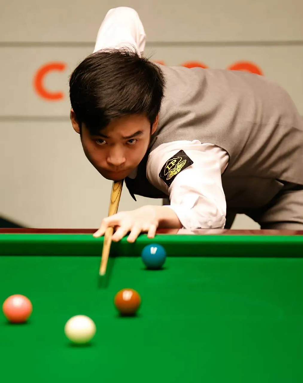 此次音乐节 此次音乐节